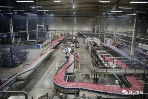 优化营商环境助力企业发展 临江市矿泉饮品产业动能强劲与技术推广服务