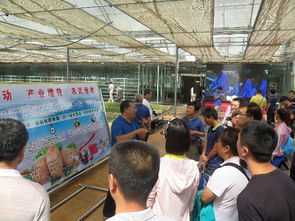 技术推广服务中心 驱动创新落地的核心引擎