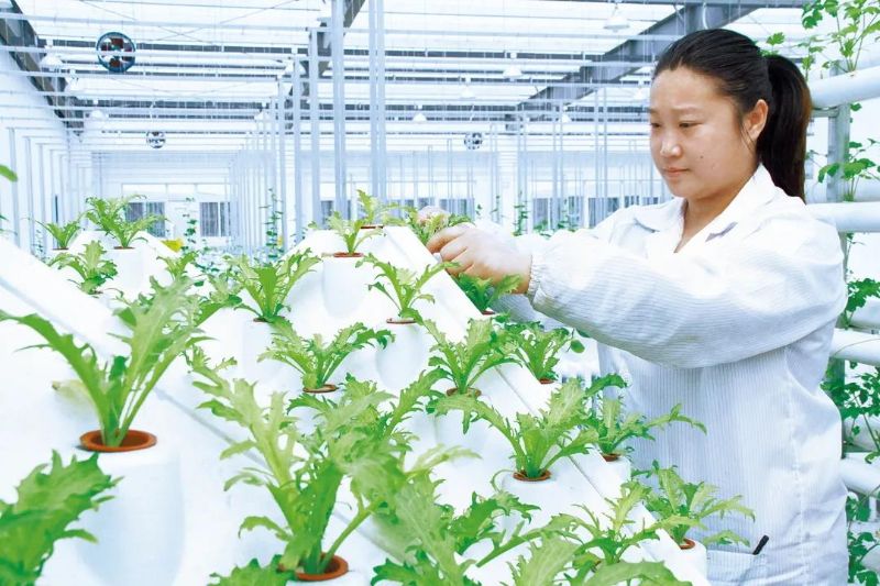 以北京平谷国家农业科技园区建设为抓手助推农业中关村建设——技术推广服务的创新实践